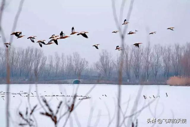 积极向上小故事3分钟_积极向上小故事简短