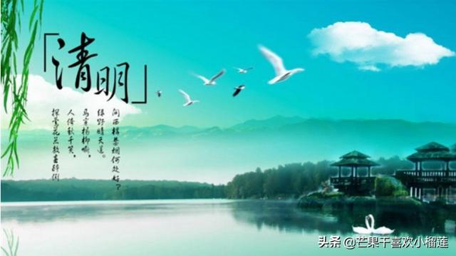 清明节的资料_清明节的资料收集