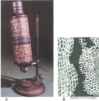 显微镜是谁发明的_世界上第一台显微镜是谁发明的