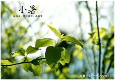 小暑的寓意是什么意思_小暑祝福语简短