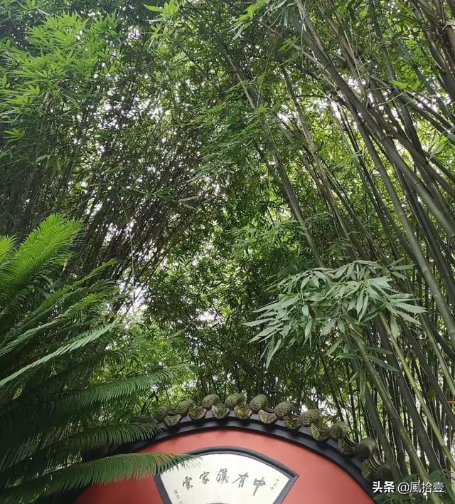 乐不思蜀的典故是谁（乐不思蜀的历史典故）