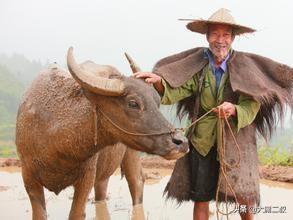 儿童教育故事事例（儿童教育故事事例分析）