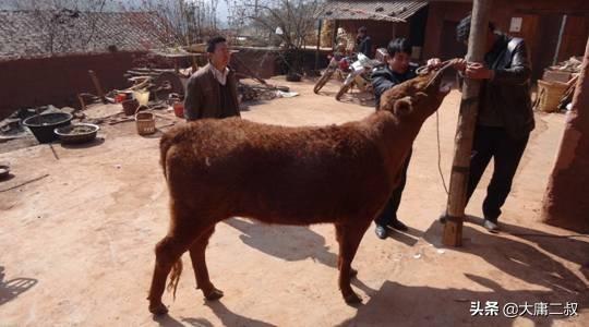 儿童教育故事事例（儿童教育故事事例分析）