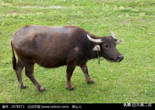 儿童教育故事事例（儿童教育故事事例分析）